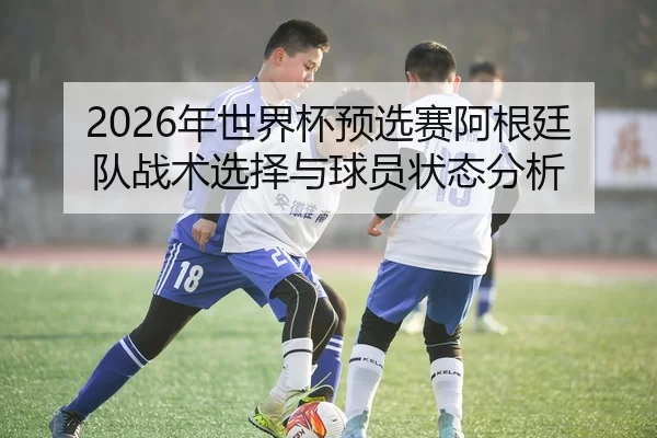 2026年世界杯预选赛阿根廷队战术选择与球员状态分析