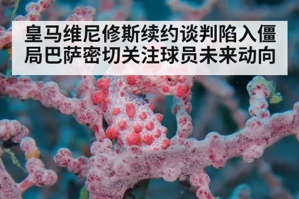 皇马维尼修斯续约谈判陷入僵局巴萨密切关注球员未来动向